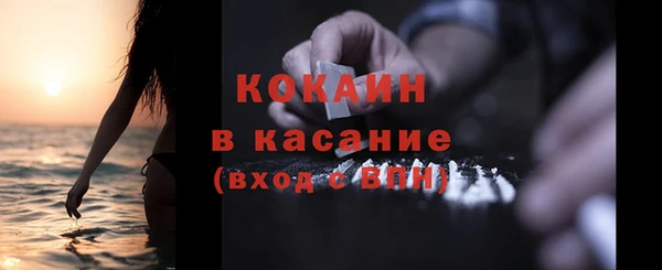 прущие грибы Аркадак