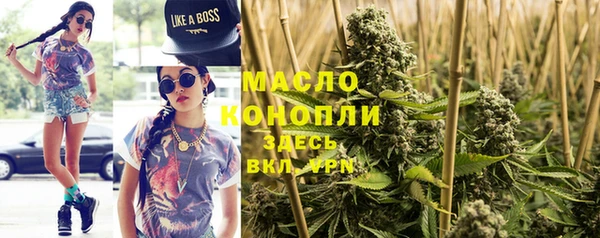 прущие грибы Аркадак