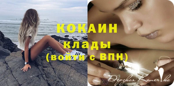 молекула духа Алзамай