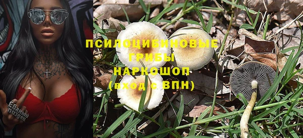 каннабис Абаза