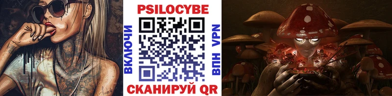 Галлюциногенные грибы Cubensis Домодедово